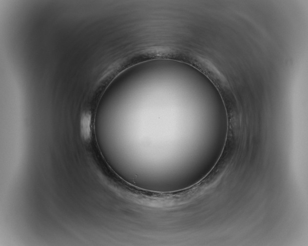 X0000116350024200912091139