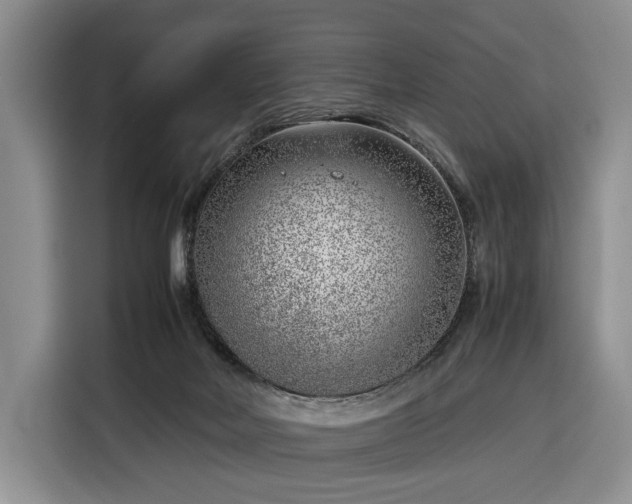 X0000116350026200912091139