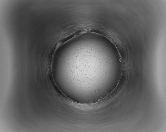 X0000116350030200912091139