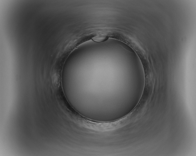 X0000116350031200912091139