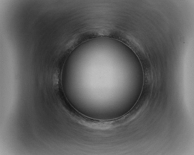 X0000116350032200912091139