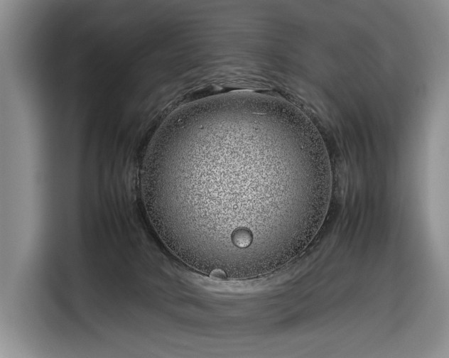 X0000116350034200912091138