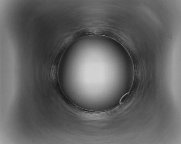 X0000116350036200912091138