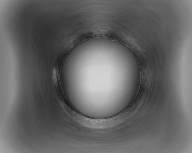 X0000116350038200912091138