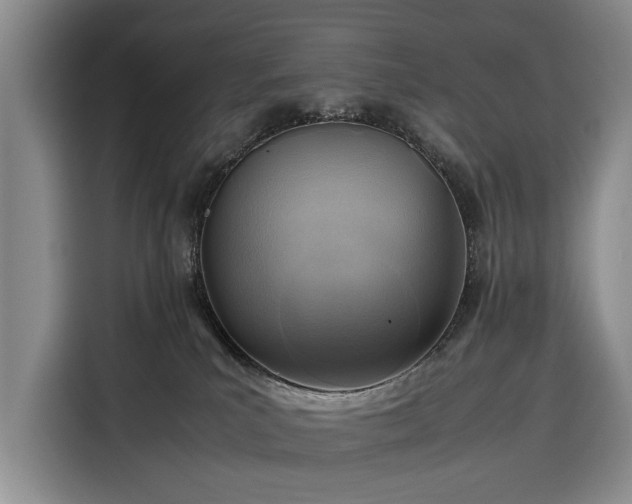 X0000116350039200912091138