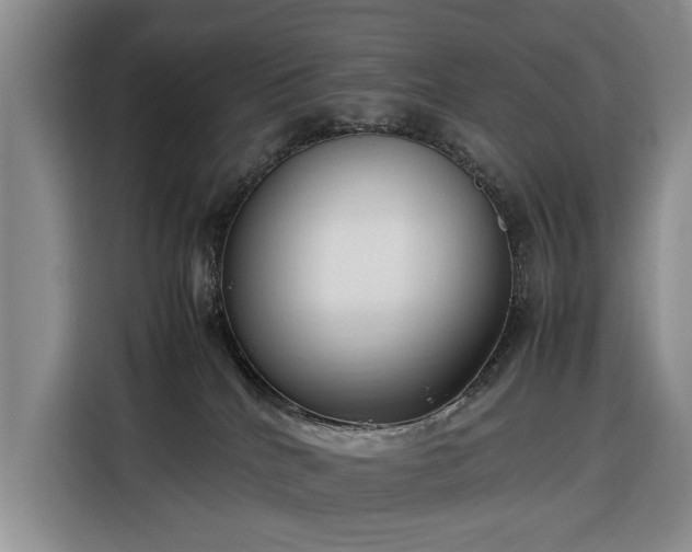 X0000116350040200912091138