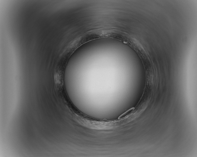 X0000116350044200912091138