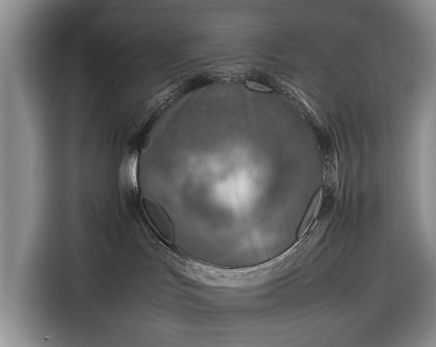 X0000116350047200912091138