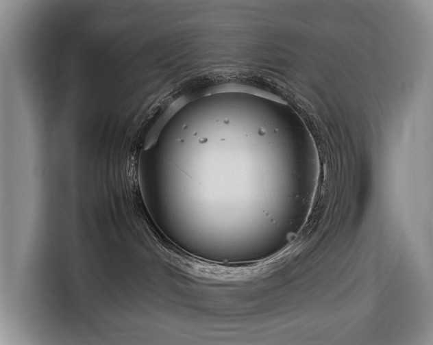 X0000116350048200912091138