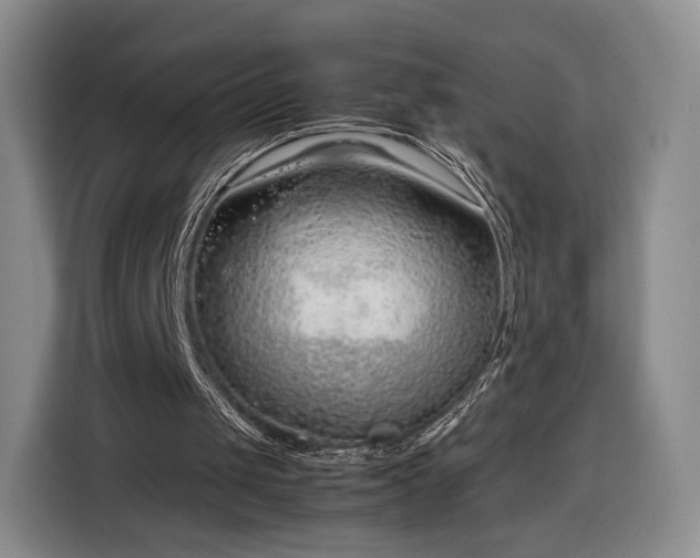 X0000116350049200912091138