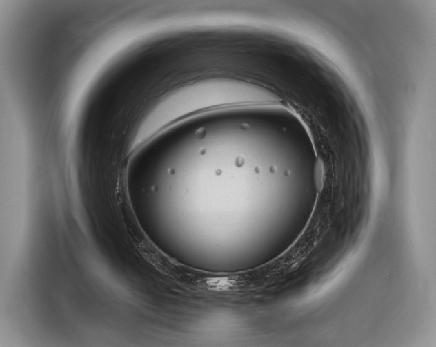 X0000116350050200912091138