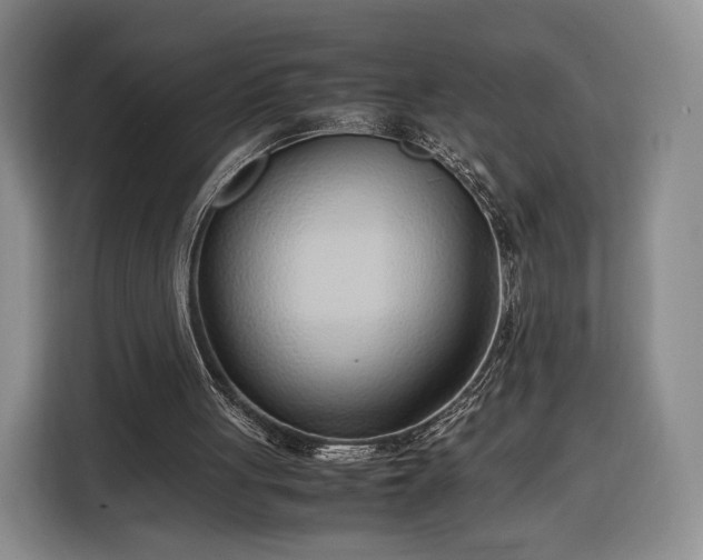 X0000116350051200912091138