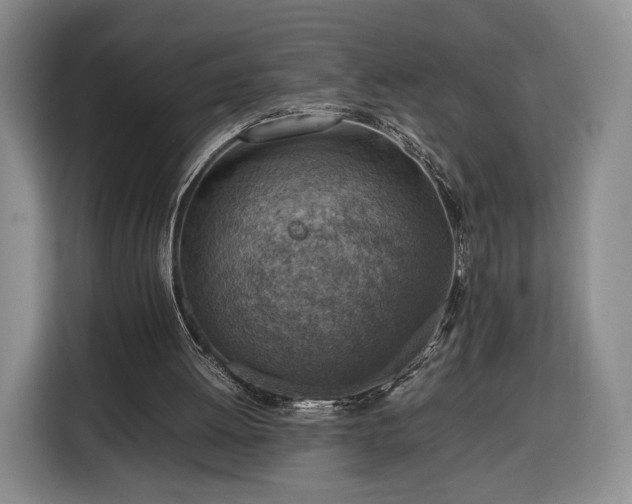 X0000116350052200912091138