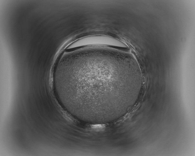 X0000116350053200912091138