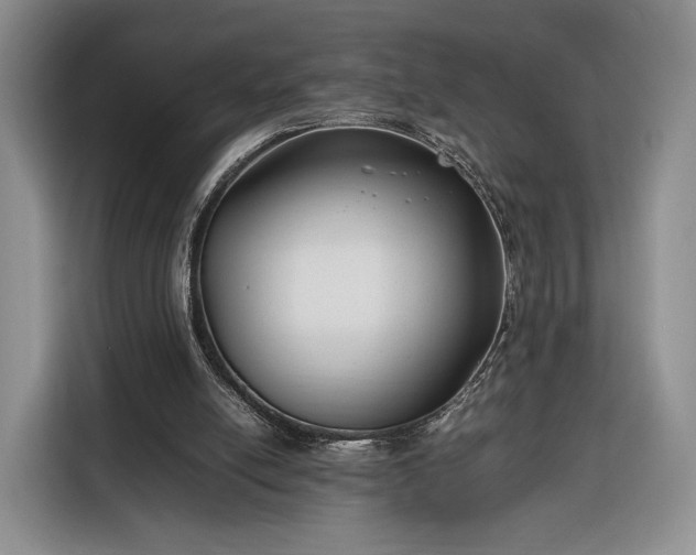 X0000116350054200912091138