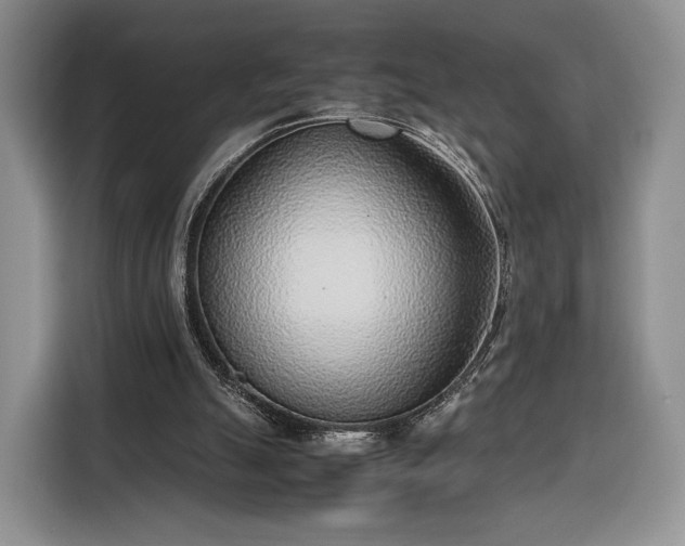 X0000116350055200912091138