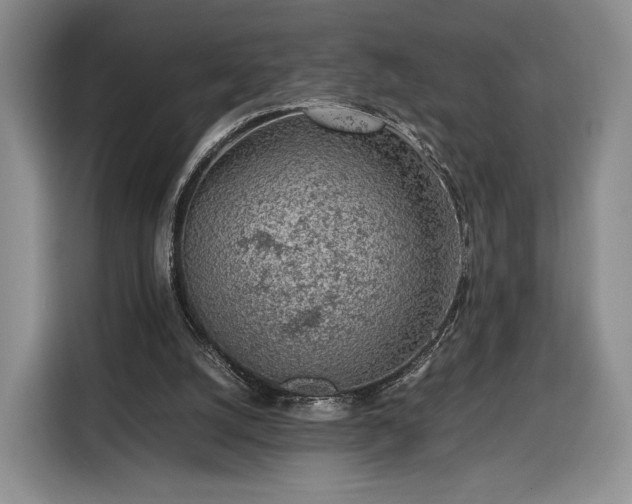 X0000116350056200912091138