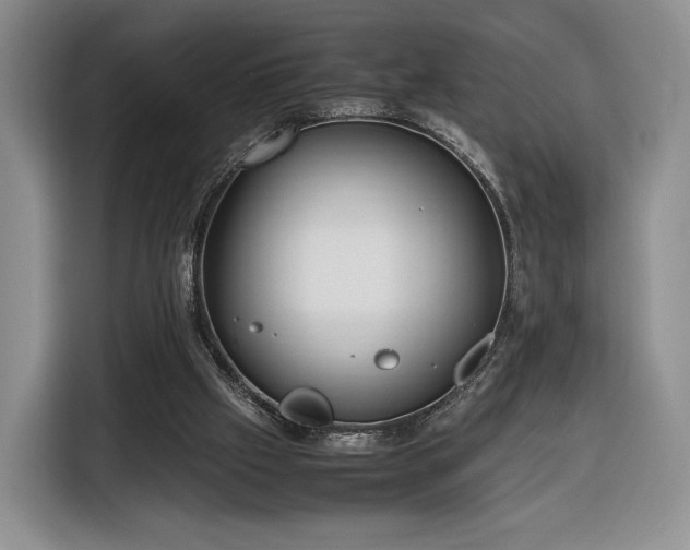 X0000116350057200912091138