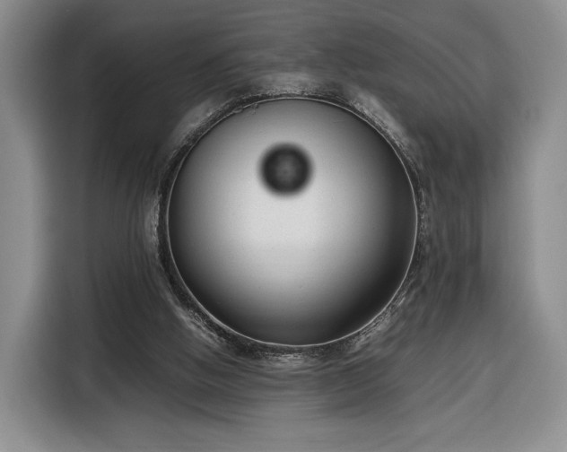 X0000116350058200912091138