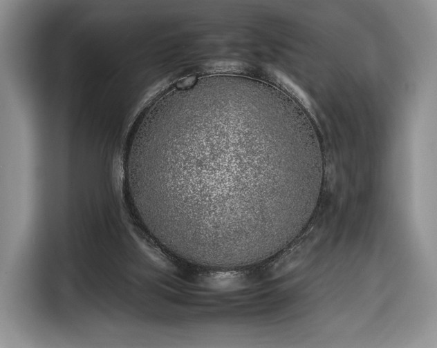 X0000116350059200912091138