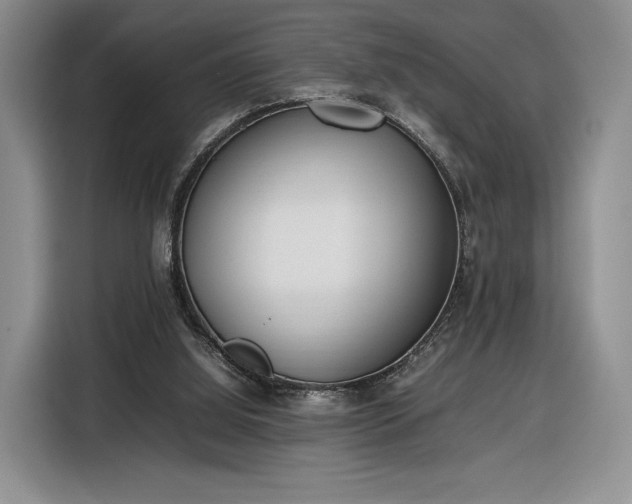 X0000116350060200912091138