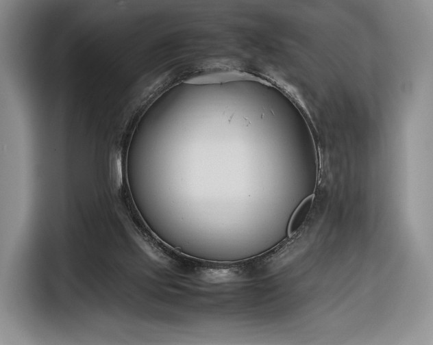 X0000116350061200912091138