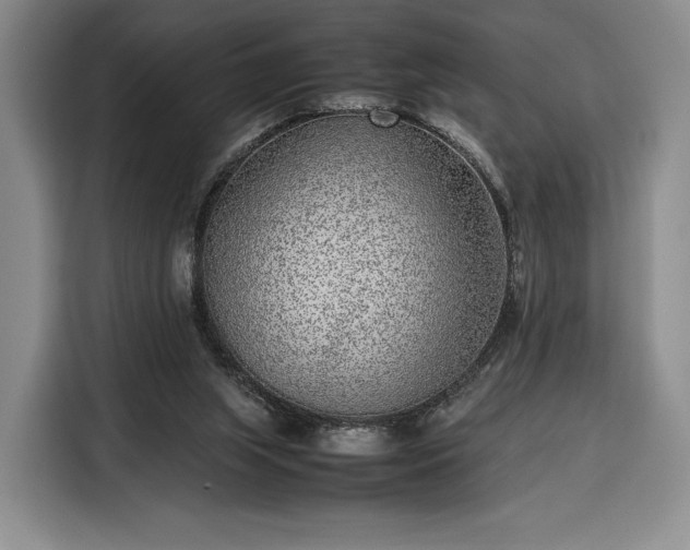 X0000116350063200912091138