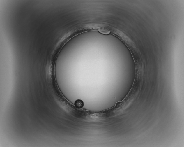 X0000116350064200912091138