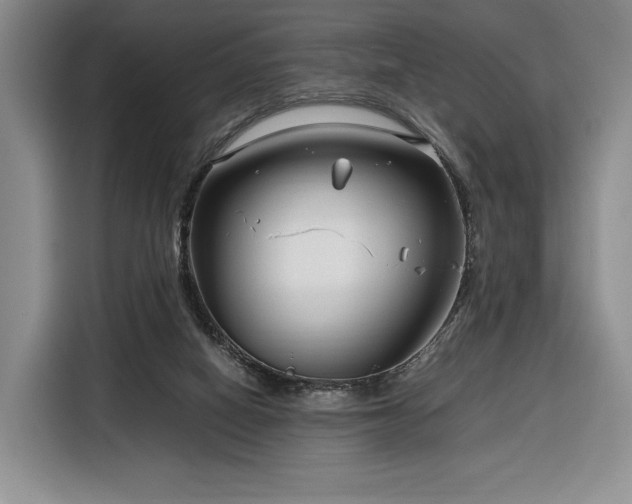 X0000116350066200912091138