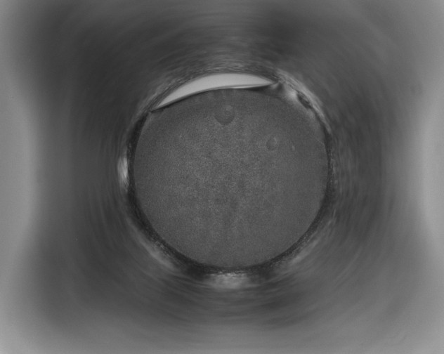 X0000116350067200912091138