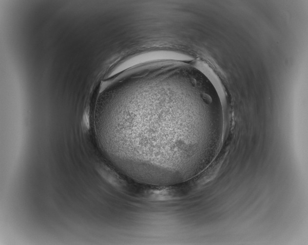 X0000116350068200912091138