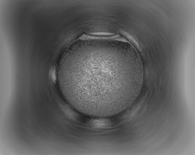 X0000116350069200912091138