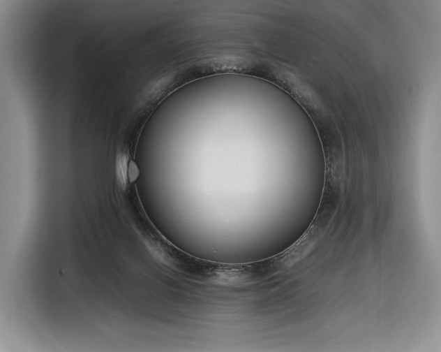 X0000116350070200912091138