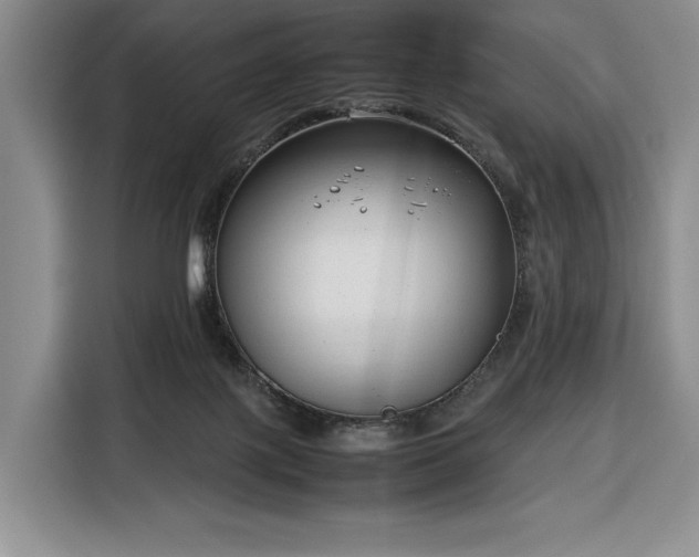 X0000116350075200912091138