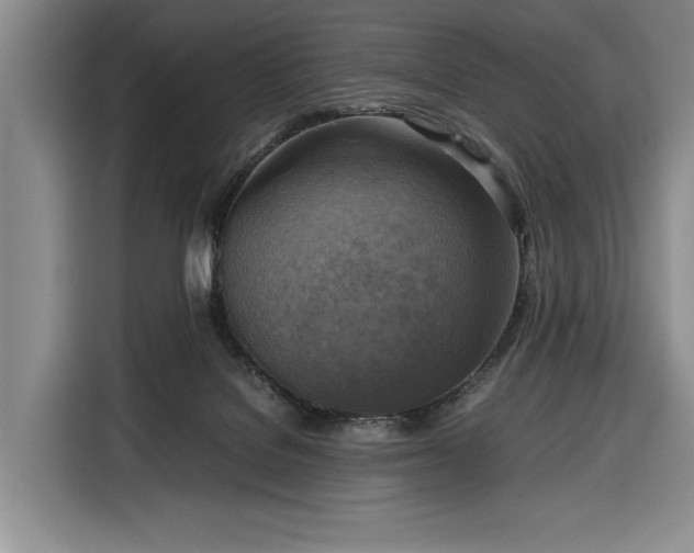 X0000116350076200912091138