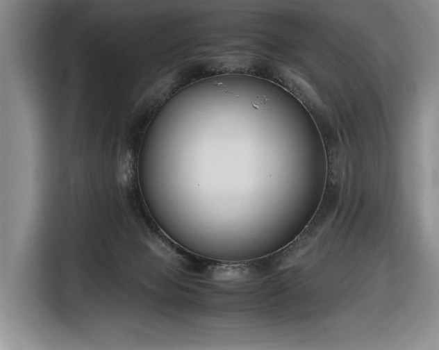 X0000116350077200912091138