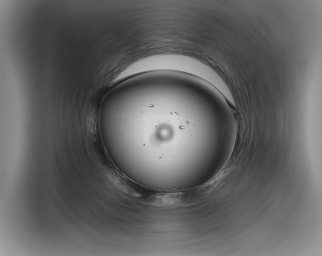 X0000116350078200912091138