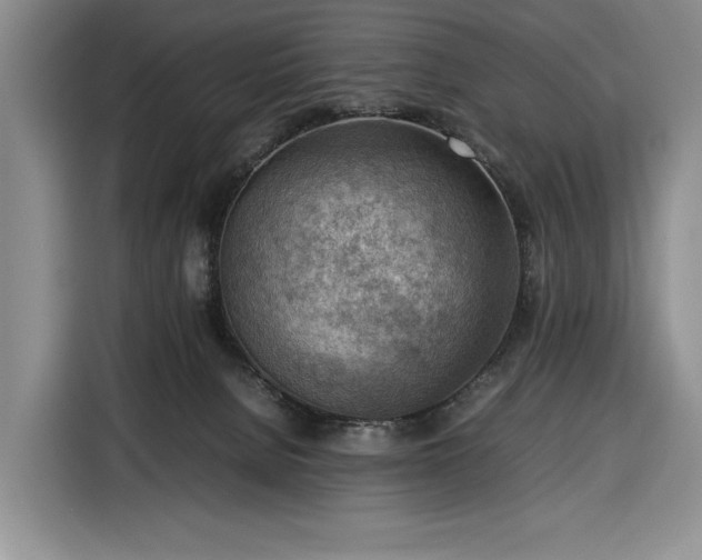 X0000116350080200912091138