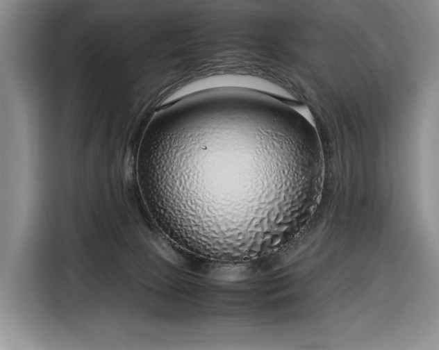 X0000116350081200912091138