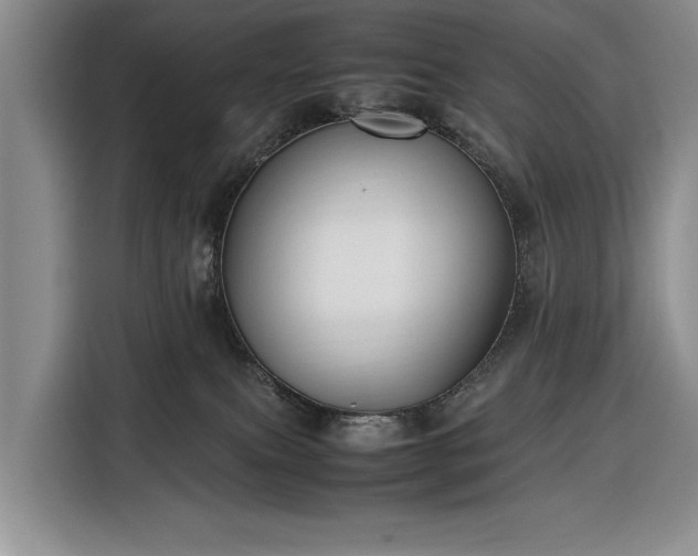 X0000116350087200912091138