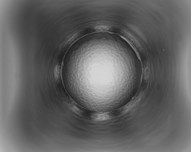 X0000116350093200912091138