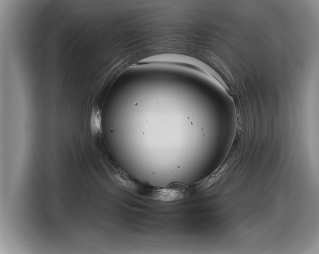 X0000116350095200912091138