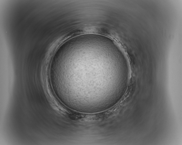 X0000116350097200912091138