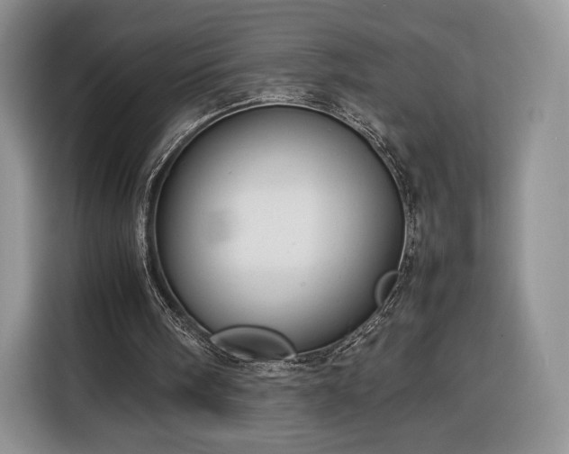 X0000116350098200912091138