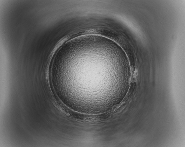 X0000116350099200912091138