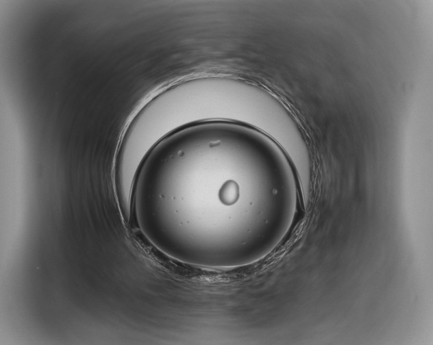 X0000116350100200912091138