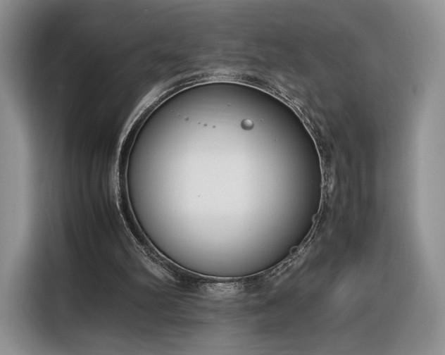 X0000116350102200912091138