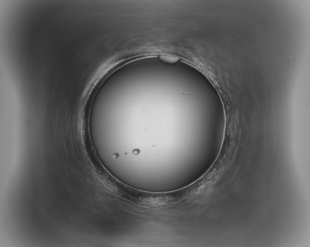 X0000116350103200912091138