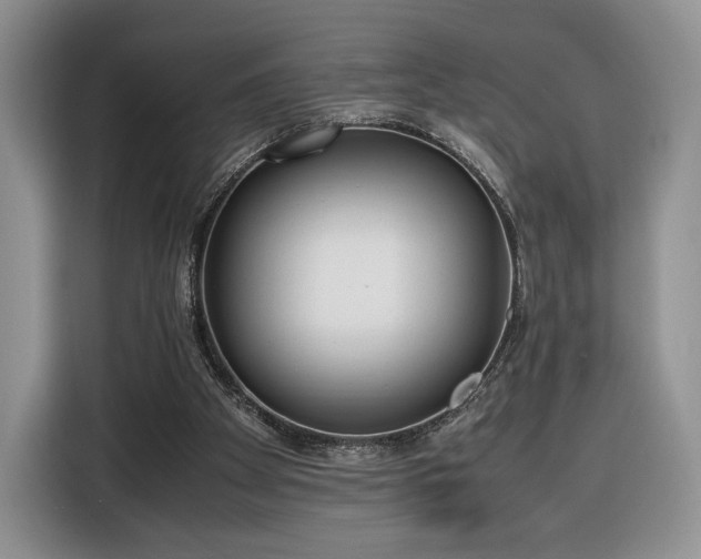 X0000116350105200912091138