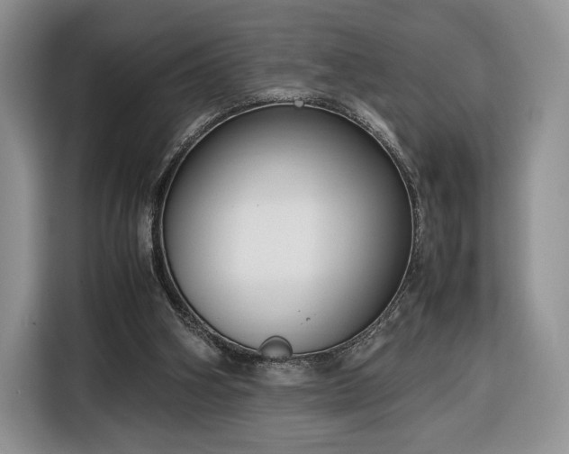 X0000116350106200912091138